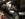 31D76895-C81B-40EF-83F3-5DBAED9FC62C.jpeg