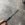 5BEB4354-E432-4829-89C0-35B3BC1C46B9.jpeg