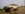 WP_20180811_11_25_04_Rich.jpg