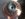 6082A985-0404-4D87-9155-CFA49AE83BDC.jpeg