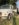 808D6C10-4800-41C6-A149-07FD5C2D909A.jpeg