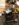 8A43ACE3-3B1C-463B-BBC5-0D02AAF13939.jpeg