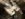 C74EBAA0-0D38-4DF3-A384-E27DD4AFD38D.jpeg