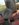 575E2AC5-163B-401F-8E63-D5BE57EA93B2.jpeg