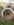 1A0D407D-BA77-4D9E-A945-219F30127D3B.jpeg