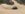 blazerdunes.jpg
