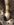 9DD7CFFD-60A1-4E5D-BA60-67949AABA380.jpeg