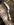 CC035D93-E83B-4F68-88FC-AB2FFF7C5EF5.jpeg