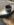 CF6D26D3-6075-4A70-8E88-C841AFBA6B9F.jpeg
