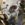 7DA0EF6D-9607-4C4B-AD43-D66A09BC2C00.jpeg