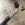 CA92BFF5-686F-404C-875D-78C5853E6A92.jpeg