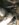 2237C278-E663-4DBD-9521-6FFC72A911BF.jpeg