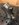 A73BDD8F-3809-4B4F-8583-0F8E92EE11BF.jpeg