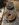 00737609-6B83-4675-93FF-2DE32E6B50AC.jpeg