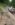 20180817_132334.jpg