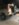 A8C78A6F-1EC5-499B-B990-211154DBEFB1.jpeg