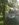 19202.jpeg