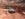 452AD1BA-2A6E-4E3A-80D0-316A35AFFB95.jpeg