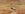 BE0B3001-1B0D-4D2B-9682-54B64FEECF31.jpeg