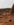 B0D1977A-BBFC-41FB-816D-819AACDCFAB2.jpeg