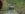 A33F9843-265C-4451-9E4B-D218CECEBF9C.jpeg