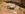 AC82BAD6-9C47-4F2C-B11F-E0DDD3347249.jpeg