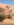 9A00A606-C0A4-4F44-A257-CBF7D212A786.png