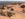 722C73D0-EBA4-482A-8134-BBBF48313365.jpeg