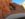 BC4F88CB-BEE5-483C-A98F-46AE7D9A57D3.jpeg