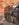 3778AD75-34D8-41C1-A6F7-9934DAA8EFA7.jpeg