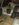 7F4CF413-4CE3-44BA-A2A8-E0266E050569.jpeg