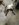 5B4F9301-BC13-4283-ABC4-5C28CDA3A701.jpeg