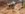 BA385DB6-685B-47F7-92A8-FB42C4DF42EF.jpeg