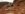379D3A56-E977-4AD9-9924-24CCC3ED2B03.jpeg