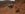 40B3E382-B58C-4BE6-B0F6-C77C6081A191.jpeg