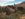 2FFDFC7F-C360-4D93-98D9-8C7C39E4F8BA.jpeg