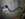 8F853D9E-BC5E-40D2-A266-26099BD7479E.jpeg