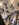 864813AE-21B4-4282-8219-EE8039FC1521.jpeg
