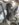 IMG_20180914_111645021.jpg
