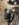 BD1D750D-D414-4CB4-BA4C-2C6BF3C566B4.jpeg