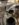 C8768DA5-AEFE-4347-9D3D-5BBE186CE9F5.jpeg