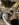 42F8792E-D70A-42B0-A0E0-EC0D07A23ED3.jpeg