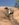 6D3C8C7A-6ED9-43B4-A9D0-ACF071B69922.jpeg
