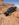 927B7721-FF9E-4BAE-91D3-15BA8DBBD300.jpeg