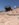 12B8EC1B-637B-4A4B-894E-634F515012D1.jpeg