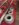A9D98CE7-0E05-439D-9F8E-FC8DBA5D58F6.jpeg
