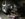 DD1896FB-5C63-4ED1-AE7F-6C5CF2987676.jpeg