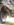134D0961-B647-45AA-B5E3-53A79B17B737.png