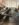 EE7BE630-DFB9-44E0-8E7E-7725349DF5E3.jpeg