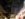 20180920_191454.jpg